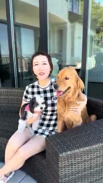 Founder and dogs · IMG_6778